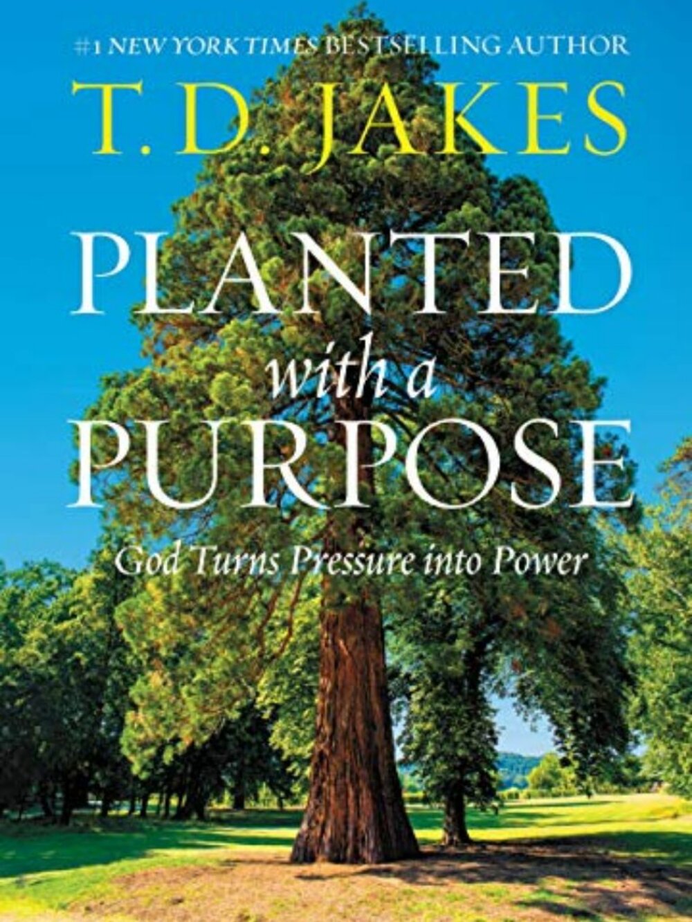 T. D. Jakes Planted with a Purpose Christian Inspiration Hardcover